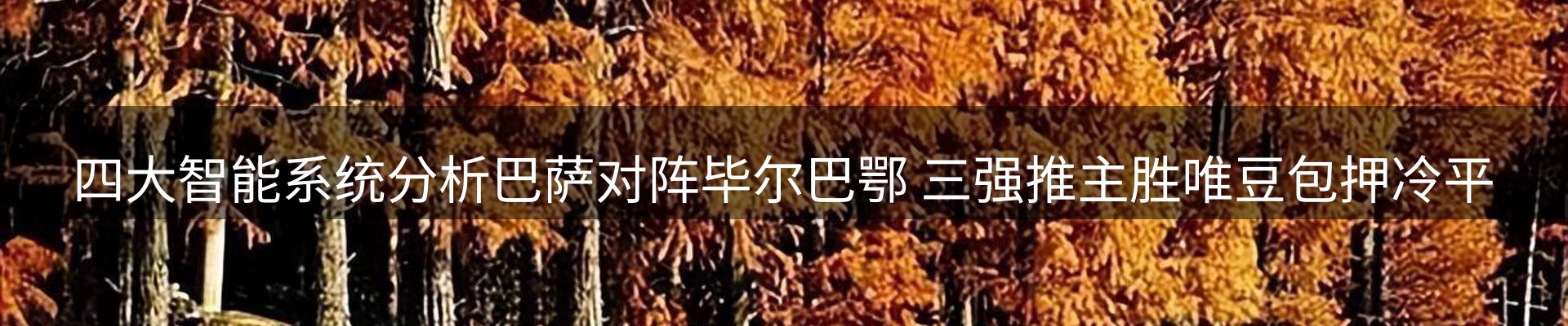 内页banner